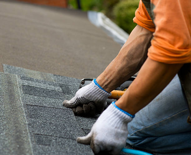 Best Storm Damage Roof Repair  in Rock Falls, IL