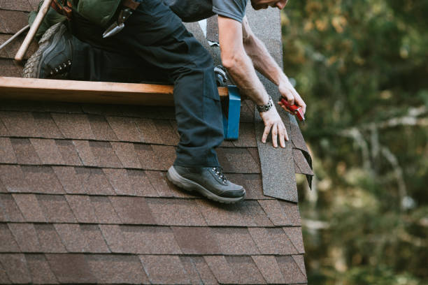 Best Local Roofing Companies  in Rock Falls, IL